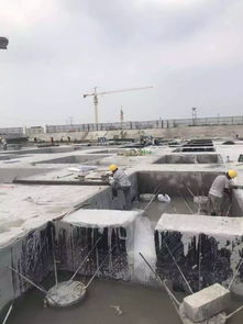 建研院 旗下品牌姑蘇防水與徐志摩故居 南京祿口機(jī)場等多個(gè)項(xiàng)目結(jié)緣,不斷打造精品工程 卷材